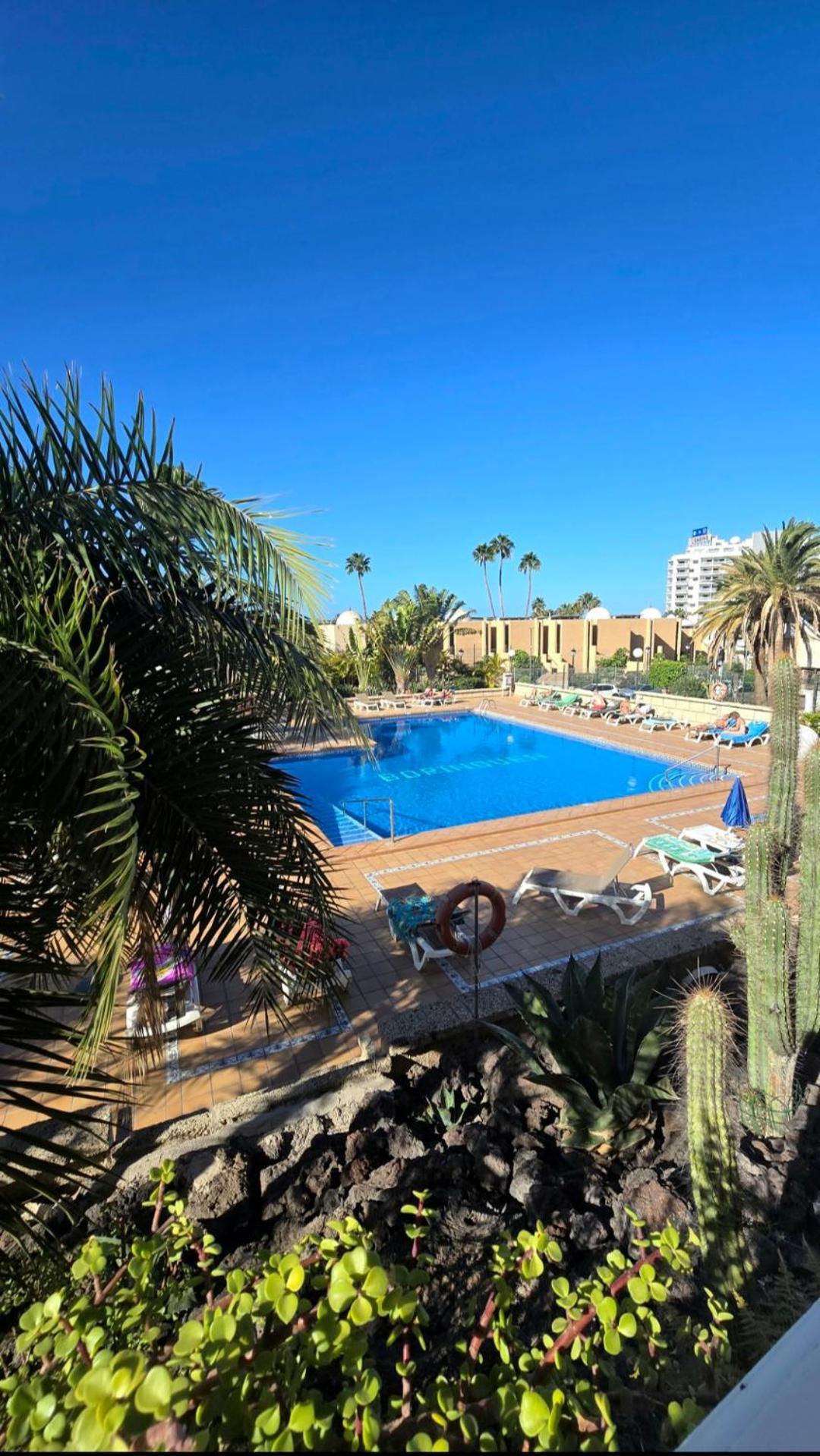 524 Ocean Dreams Las Americas بلايا ذي لاس أميريكاس المظهر الخارجي الصورة